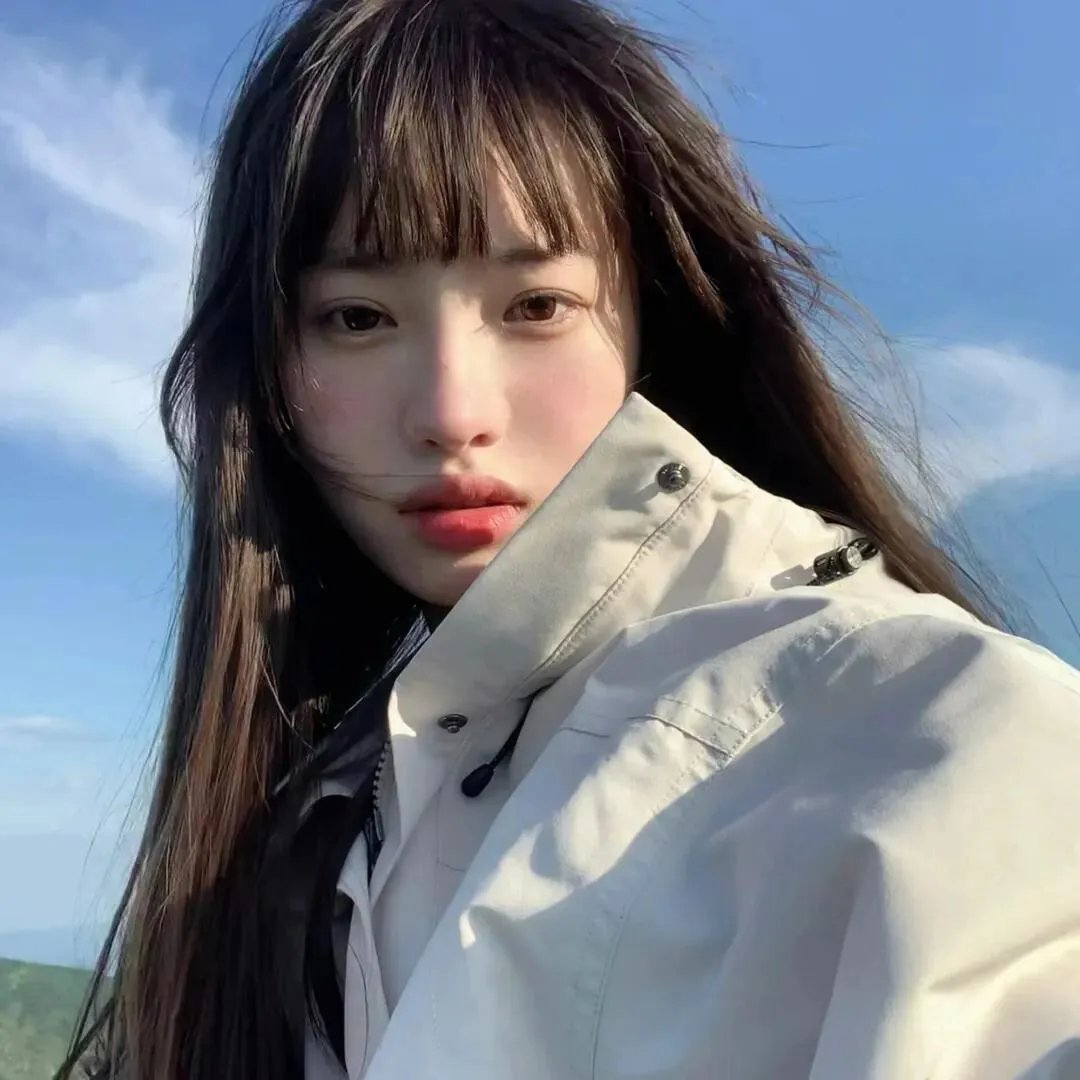 归途如虹