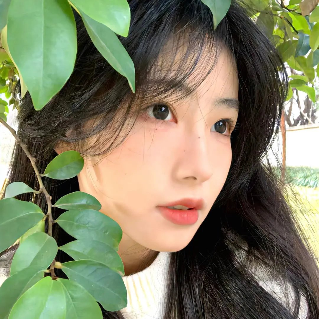 绿蝴蝶