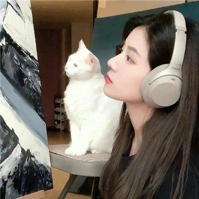 旗袍美探